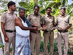 கிராமத்து குளத்தில் புகுந்த முதலை மீட்பு