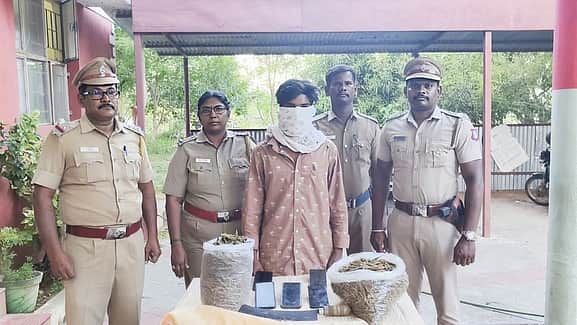 News image