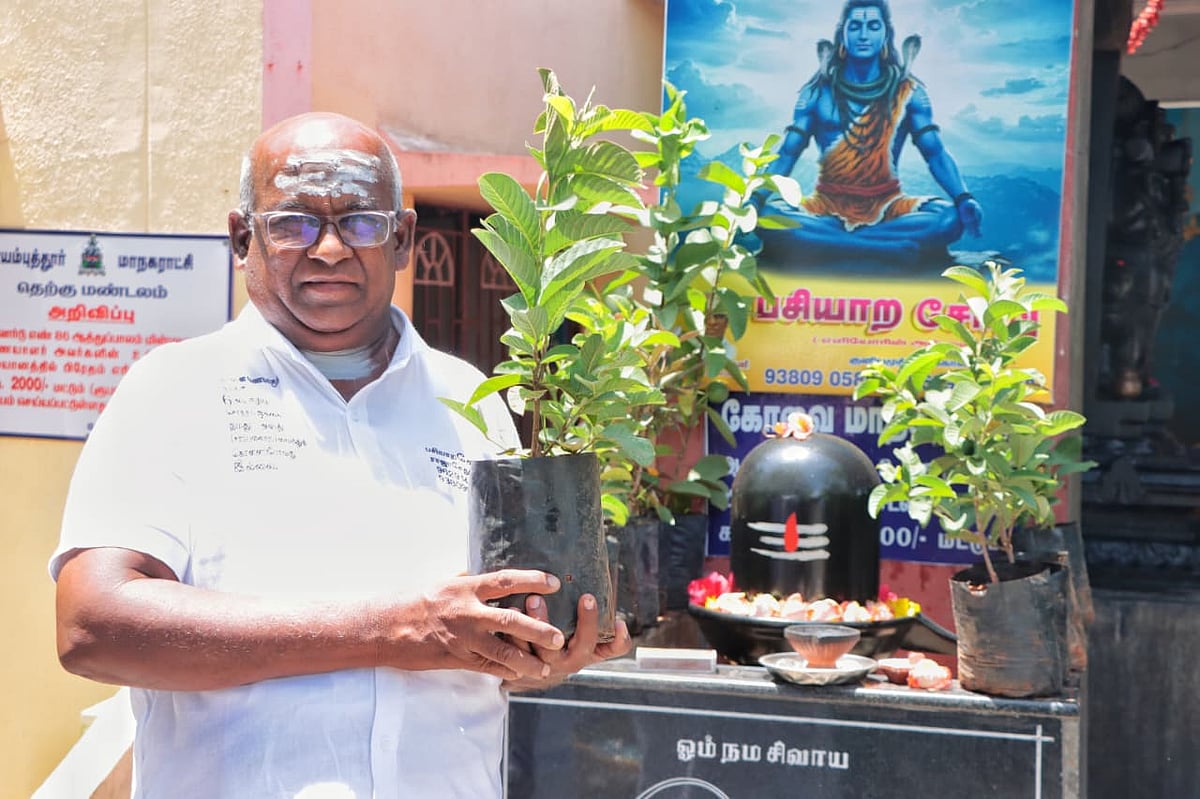 பசியாற சோறு... நினைவாக மரக்கன்று..!