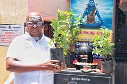 பசியாற சோறு... நினைவாக மரக்கன்று..!