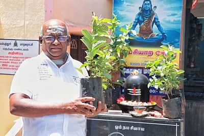 பசியாற சோறு... நினைவாக மரக்கன்று..!