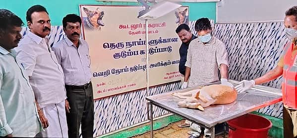 News image