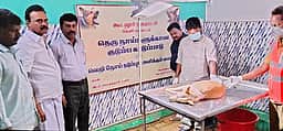 நாய்களுக்கு தடுப்பூசி செலுத்தும்பணி  தீவிரம்