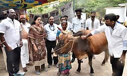 வேலூா், ராணிப்பேட்டையில் கோமாரி நோய் தடுப்பூசி முகாம் தொடக்கம்