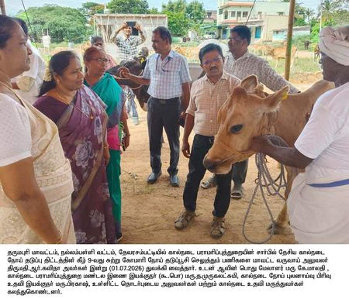 News image