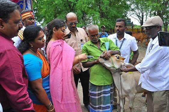 News image