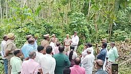 யானைகள் நடமாட்டம் அதிகரிப்பு:
பழங்குடி குடியிருப்பில் வன அலுவலா் ஆய்வு