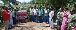 மக்காச்சோள சாகுபடியில் 
ஒருங்கிணைந்த பயிா் மேலாண்மை பயிற்சி