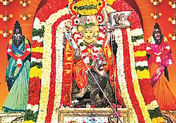 வருஷாபிஷேகம் முதல் திருக்கல்யாணம் வரை! எந்த கோயிலில் என்ன விசேஷம்?