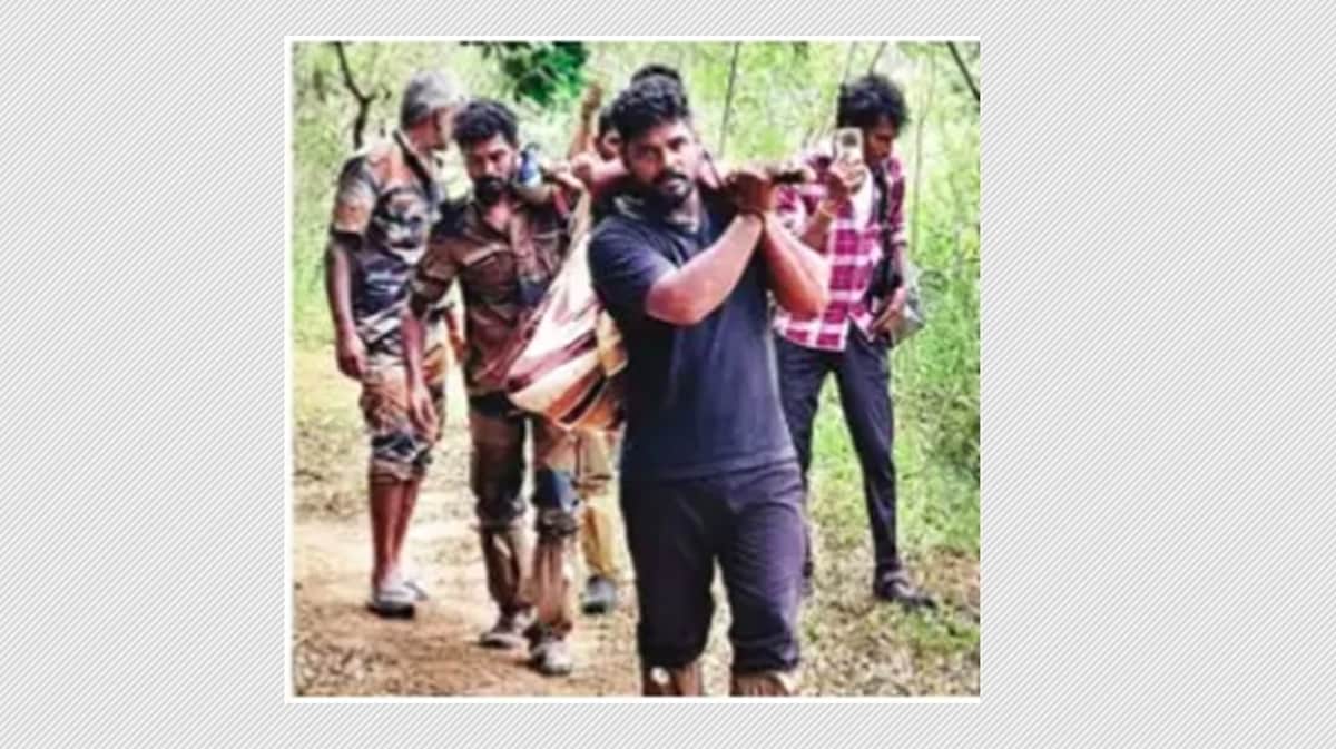 News image