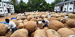 காரைக்கால் விற்பனைக் கூடத்தில்
400 குவிண்டால் பருத்தி ஏலம்!