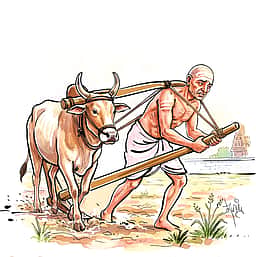 ஓரேர் ஒரு மாட்டு உழவர்