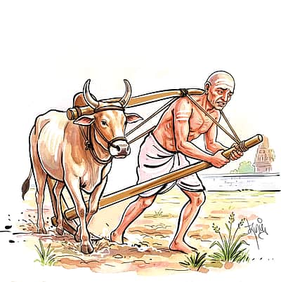 ஓரேர் ஒரு மாட்டு உழவர்