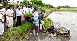 தஞ்சாவூா் மாவட்டத்தில் ரூ.21.84 கோடிக்கு குறுவை தொகுப்பு திட்டம் வழங்க இலக்கு: வேளாண் உற்பத்தி ஆணையா் தகவல்