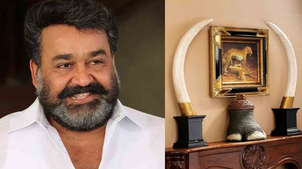தன்னிடமுள்ள யானைத் தந்தங்களை வனத்துறையிடம் ஒப்படைக்க மோகன்லால் முடிவு!