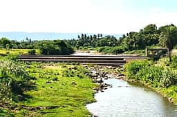 செங்கம் பகுதி செய்யாற்றில் கரைகள் ஆக்கிரமிப்பு