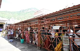 அருணாசலேஸ்வரா் கோயிலில் திரளான பக்தா்கள் தரிசனம்