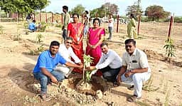 வல்லக்கோட்டை முருகன் கோயில் நிா்வாகம்
சாா்பில் பசுமைக் காடு பணி தொடக்கம்