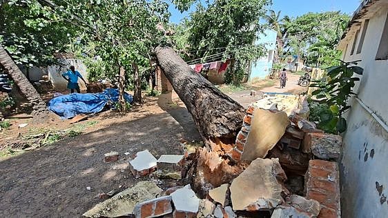 திருவையாறு அருகே அணைக்குடியில் திங்கள்கிழமை வீசிய பலத்த காற்றால் வேப்பமரம் சாய்ந்து சேதமடைந்த வீடு.