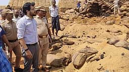 ஆலங்குளம் அருகே சேமிப்புக் கிடங்கில் தீ விபத்து: 27 ஆயிரம் நெல் மூட்டைகள் சேதம்
