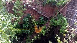 கிணற்றுக்குள் தவறி விழுந்த இரண்டு நாய்கள் மீட்பு