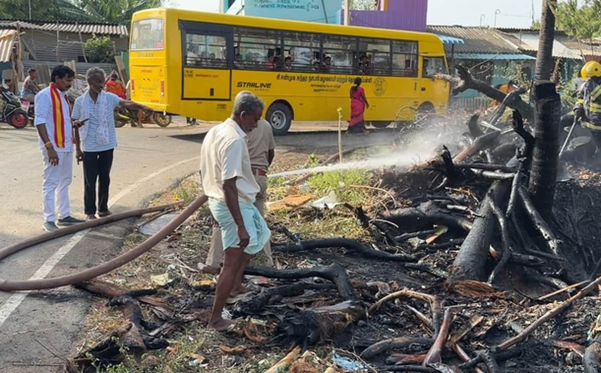 News image