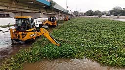 வைகை ஆற்றில் ஆகாயத் தாமரைகளை அகற்றும் பணி தடுத்து நிறுத்தம்
