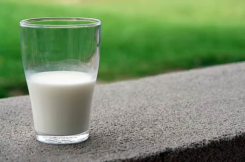 milk price