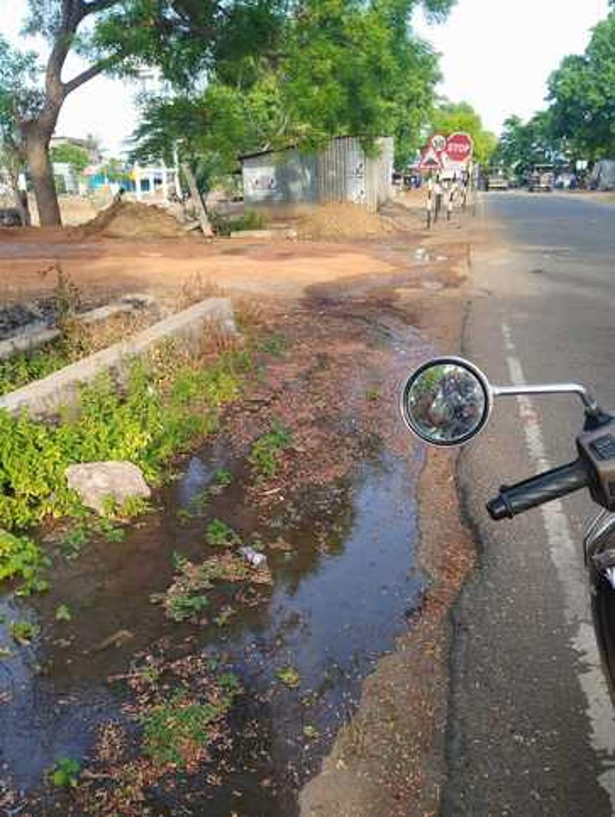 News image