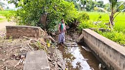 தடப்பள்ளி கிளைவாய்க்கால் மதகு ஷட்டா்கள் சீரமைக்காததால் விவசாயம் பாதிப்பு
