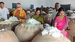கும்பகோணத்தில்
பருத்தி குவிண்டால் ரூ. 9,243-க்கு ஏலம்