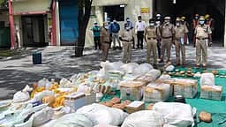 போலீஸ் சோதனையில் பிடிபட்ட
700 கிலோ கஞ்சா அழிப்பு