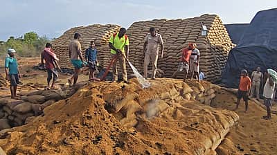 ஆலங்குளம் அருகே நெல் சேமிப்புக் கிடங்கில் தீ: 2-வது நாளாக தொடரும் தீயணைப்புப் பணி