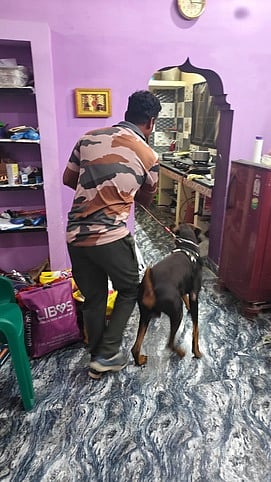 Story image