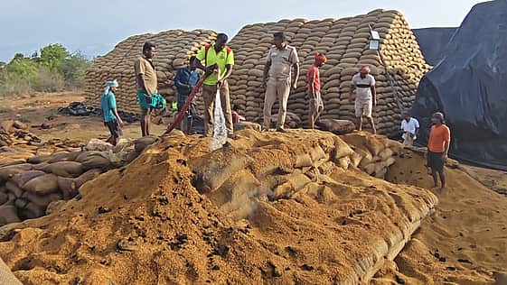 News image