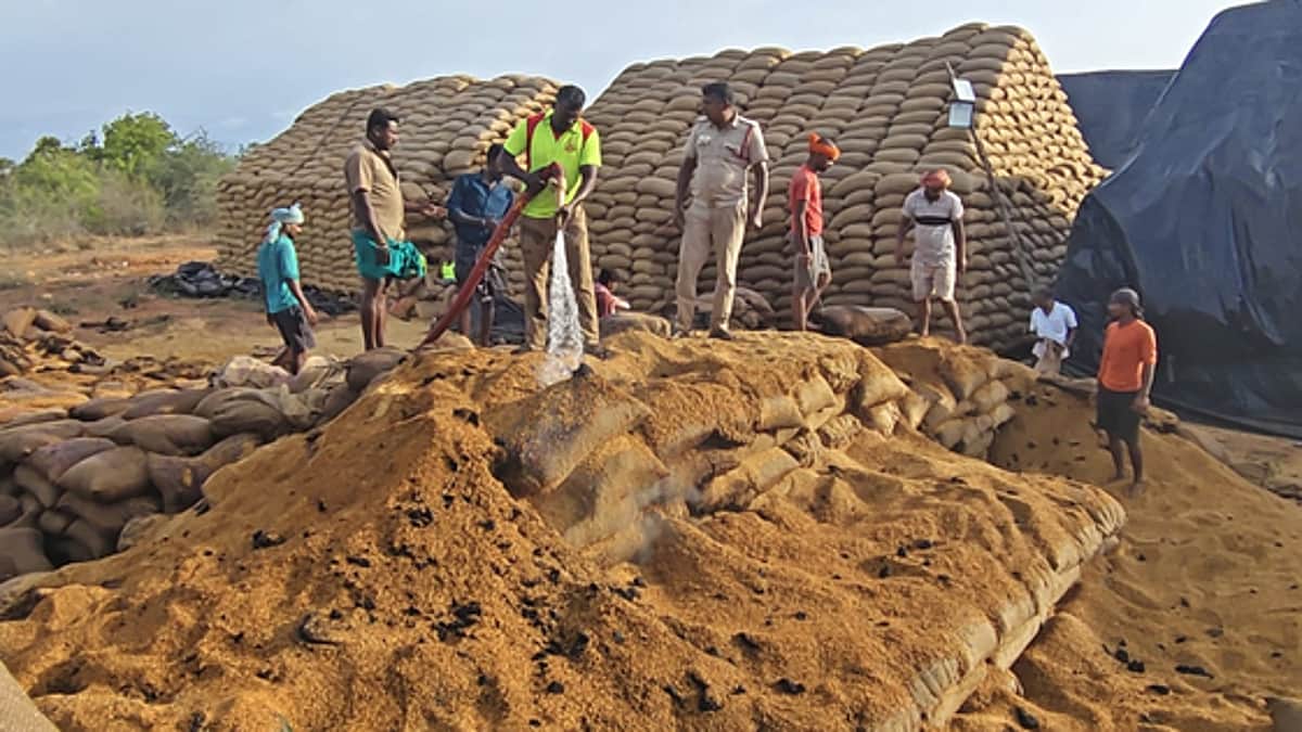 News image