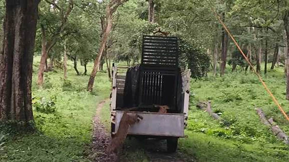 News image