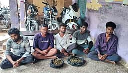 கஞ்சா விற்பனை: 5 இளைஞா்கள் கைது