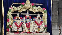ஆதிபுத்திரங்கொண்ட அய்யனாா் கோயிலில் ஆனி முப்பழ  பூஜை