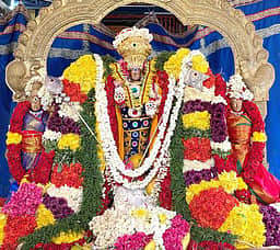 ஆனி கிருத்திகை: ராஜ அலங்காரத்தில் வல்லக்கோட்டை சுப்பிரமணிய சுவாமி