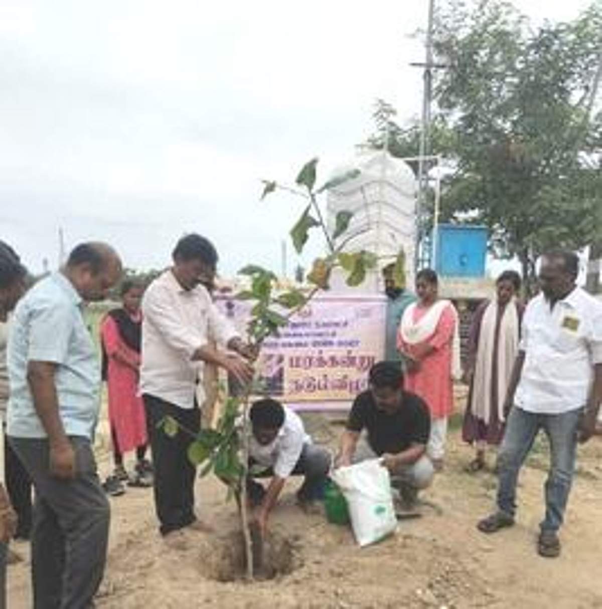 News image