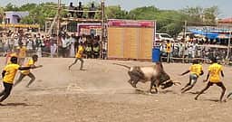 முதுகுளத்தூா் அருகே
வடமாடு எருதுகட்டு போட்டி