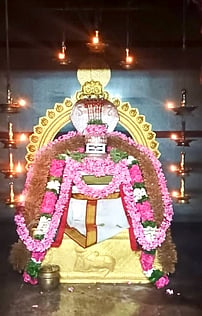 ஆரணியை அடுத்த மெய்யூா் மெய்கண்டீஸ்வரா் கோயிலில் சுவாமிக்கு செய்யப்பட்டிருந்த சிறப்பு அலங்காரம்.