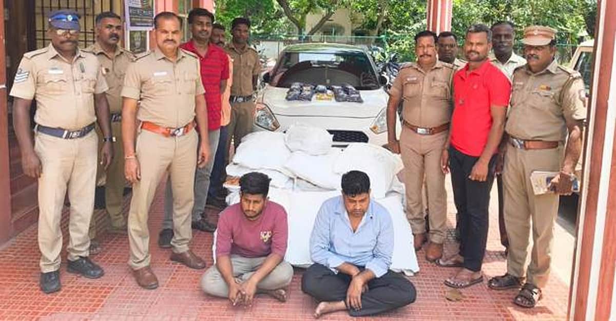 News image