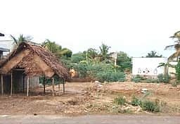 இரும்பேடு கிராமத்தில் ஆக்கிரமிப்பை அகற்ற மக்கள் கோரிக்கை
