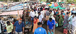 கடலூா் துறைமுகத்தில் களைகட்டிய மீன் விற்பனை