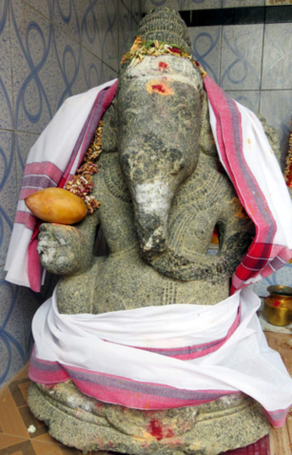 News image