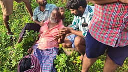 காட்டு யானை தாக்கி விவசாயி பலி!