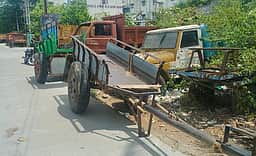 செய்யாற்றுப் படுகையில் மணல் கடத்தல்: 5 மாட்டு வண்டிகள் பறிமுதல்