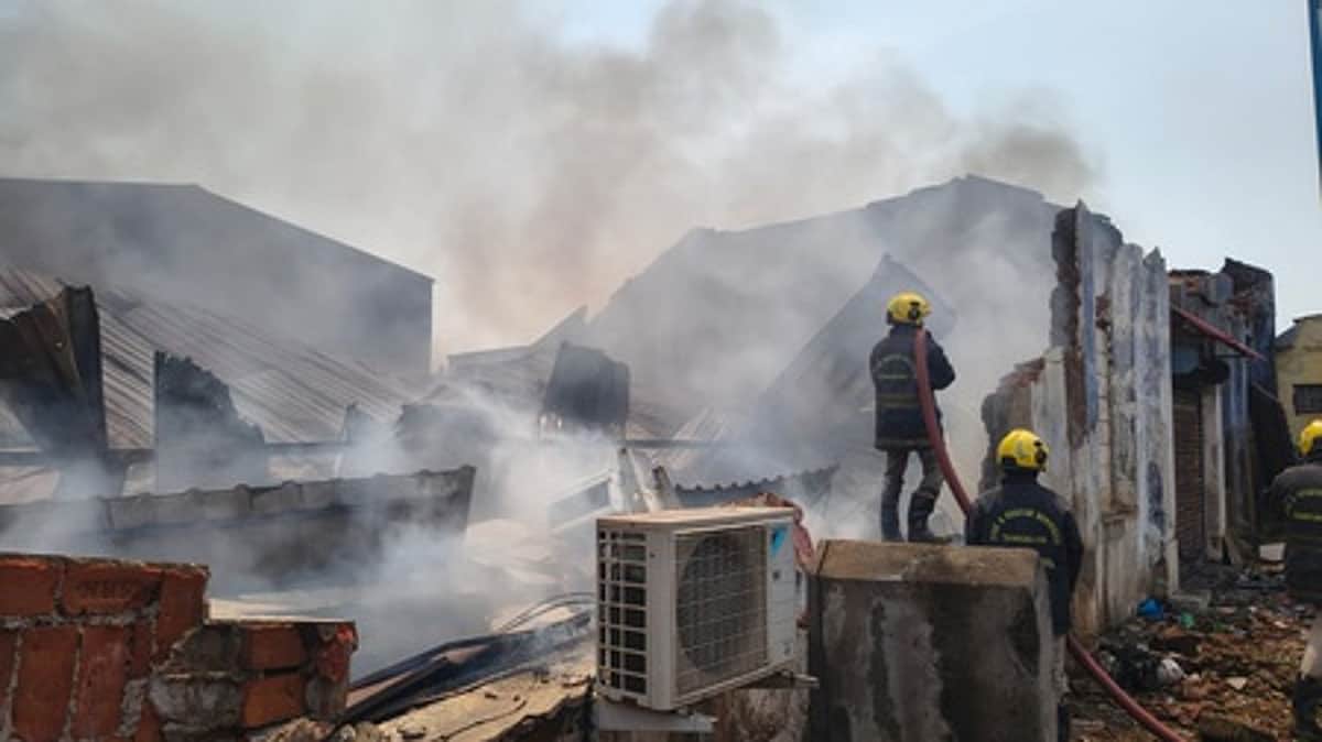 News image